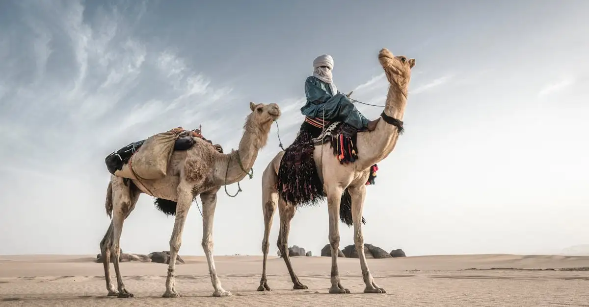 Pourquoi le désert du Sahara en Algérie est-il si fascinant ?