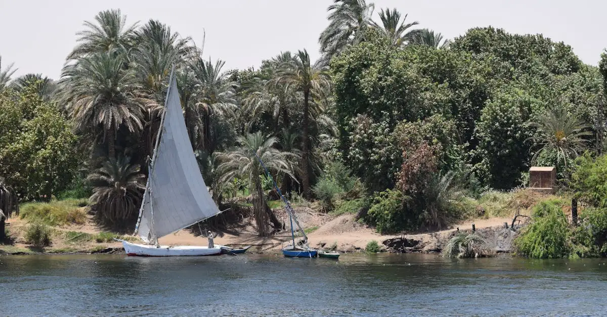 Quand a débuté l'ère des pharaons en Égypte ?
