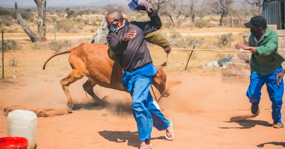 Que faire au Botswana : Activités et Événements incontournables ?
