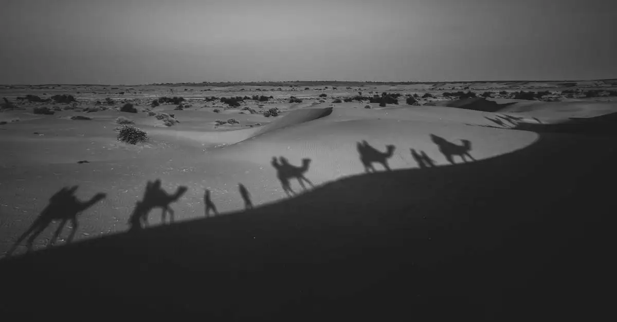 Quel désert en Mongolie a des dunes de sable et montagnes ?