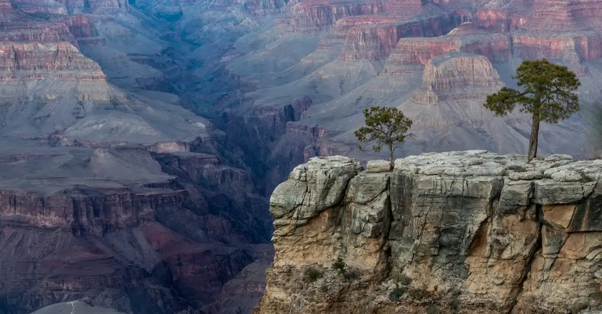Quel parc naturel protège le célèbre Grand Canyon ?