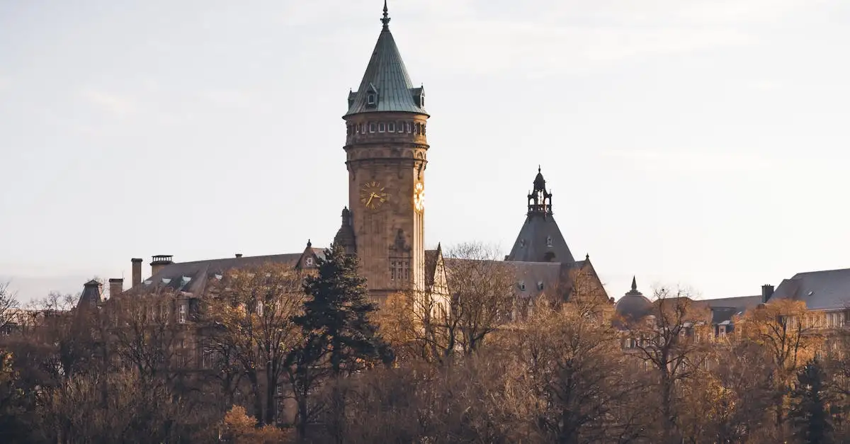Quelle est l'histoire concise du Luxembourg en quelques lignes ?