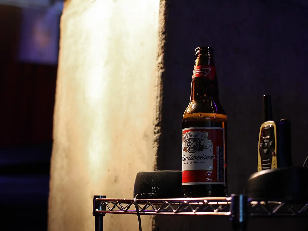 Quelle est l'histoire fascinante de la marque Budweiser ?