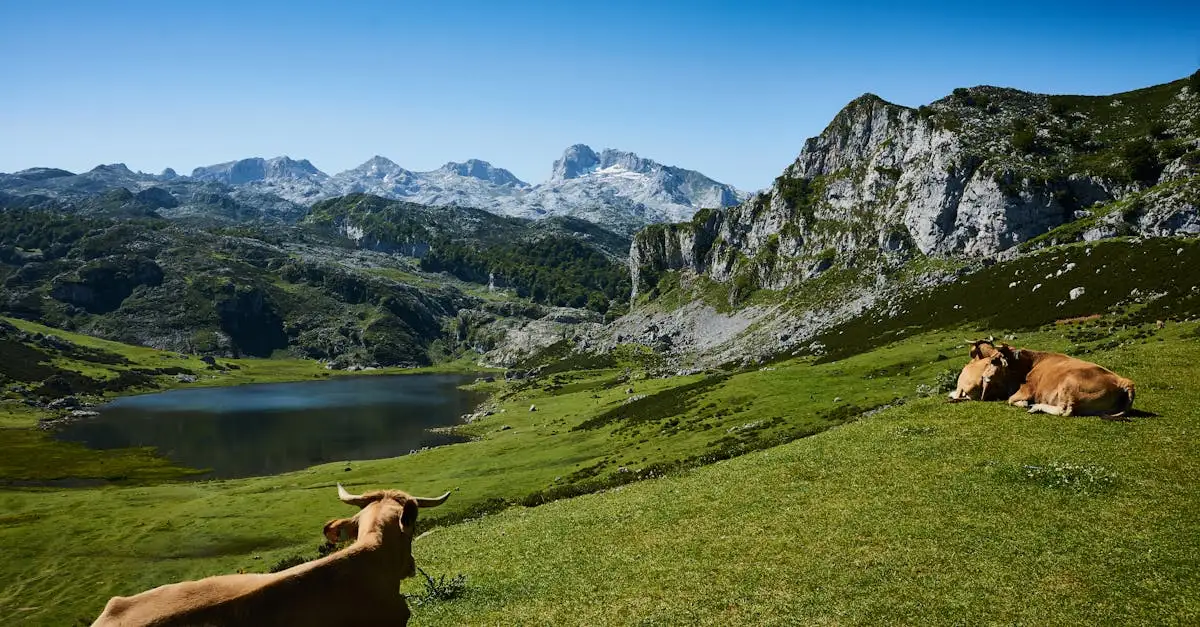 Quelle région d'Espagne abrite les Picos de Europa ?