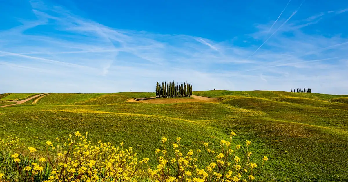 Quelle région italienne pour le parc Val d'Orcia ?