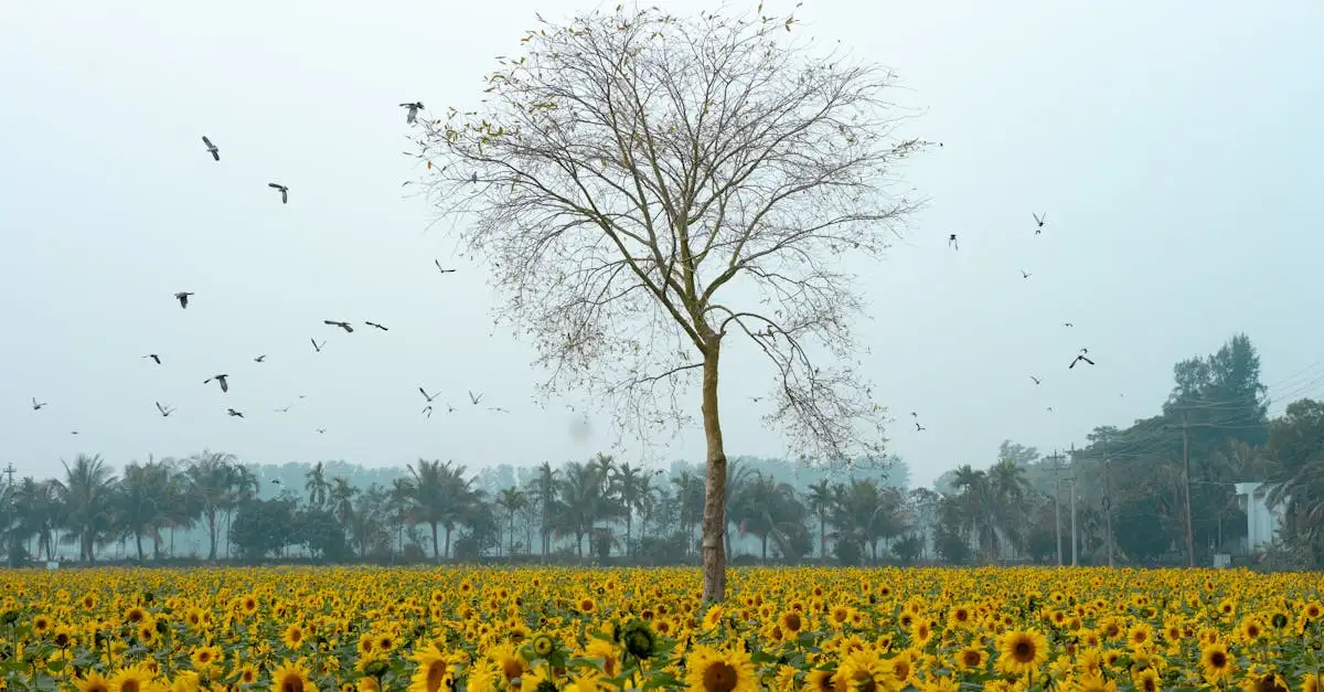 Quels oiseaux jouent un rôle clé dans l'agriculture ?