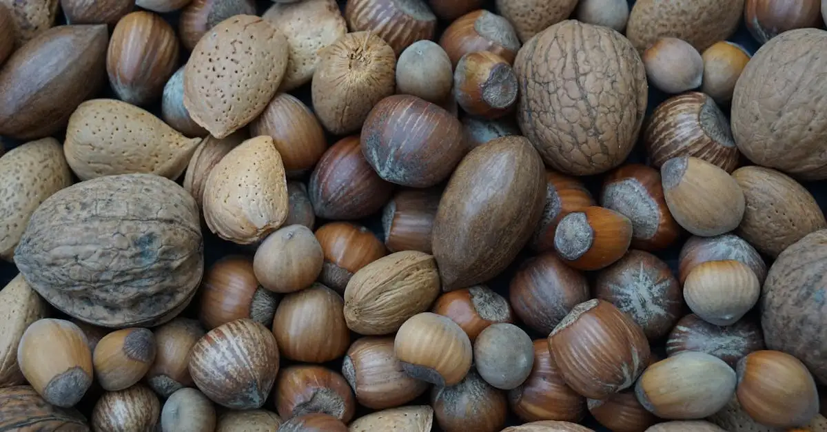 Combien d'amandes devriez-vous manger chaque jour ?
