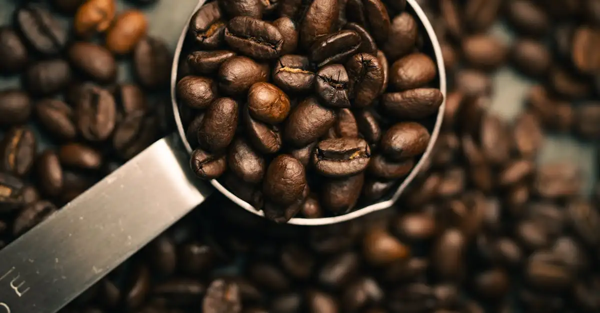 Comment appelle-t-on le marc de café en cuisine ?