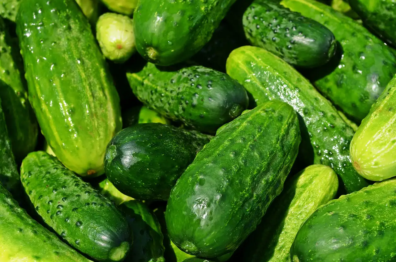 Comment rendre les légumes croquants grâce à l'eau glacée ?