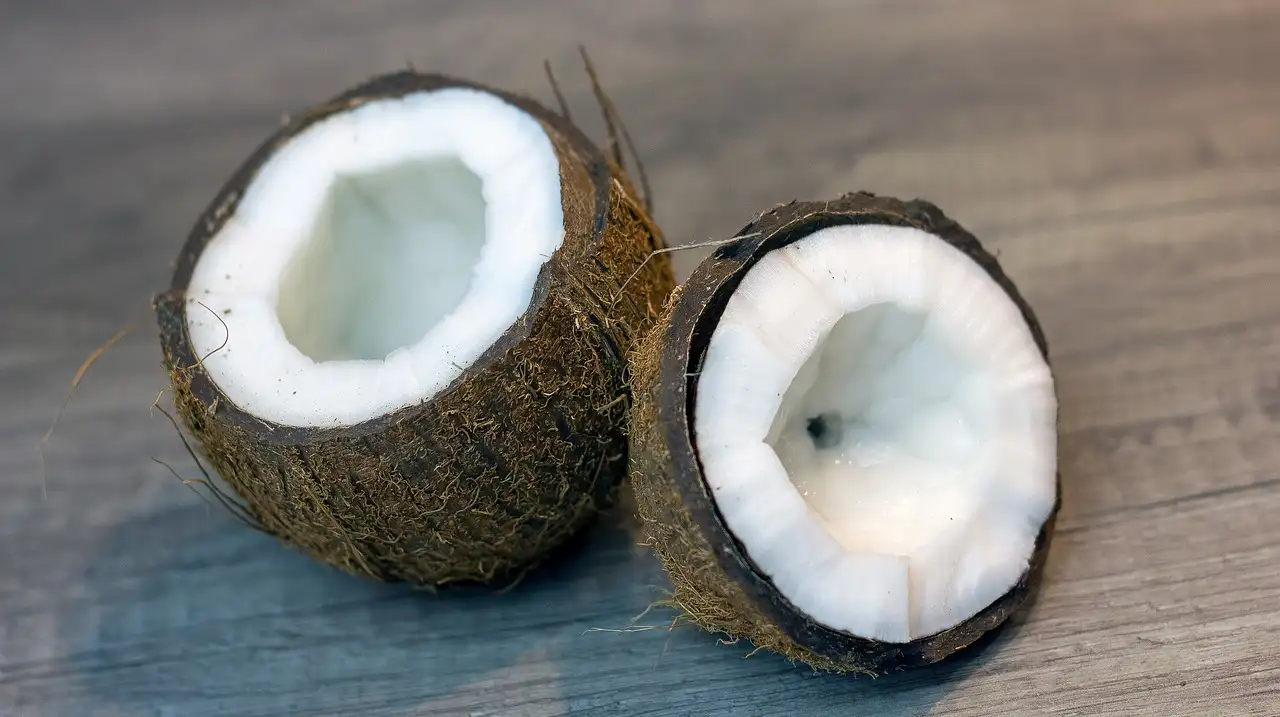 Le coco séché est-il vraiment bon pour la santé ?