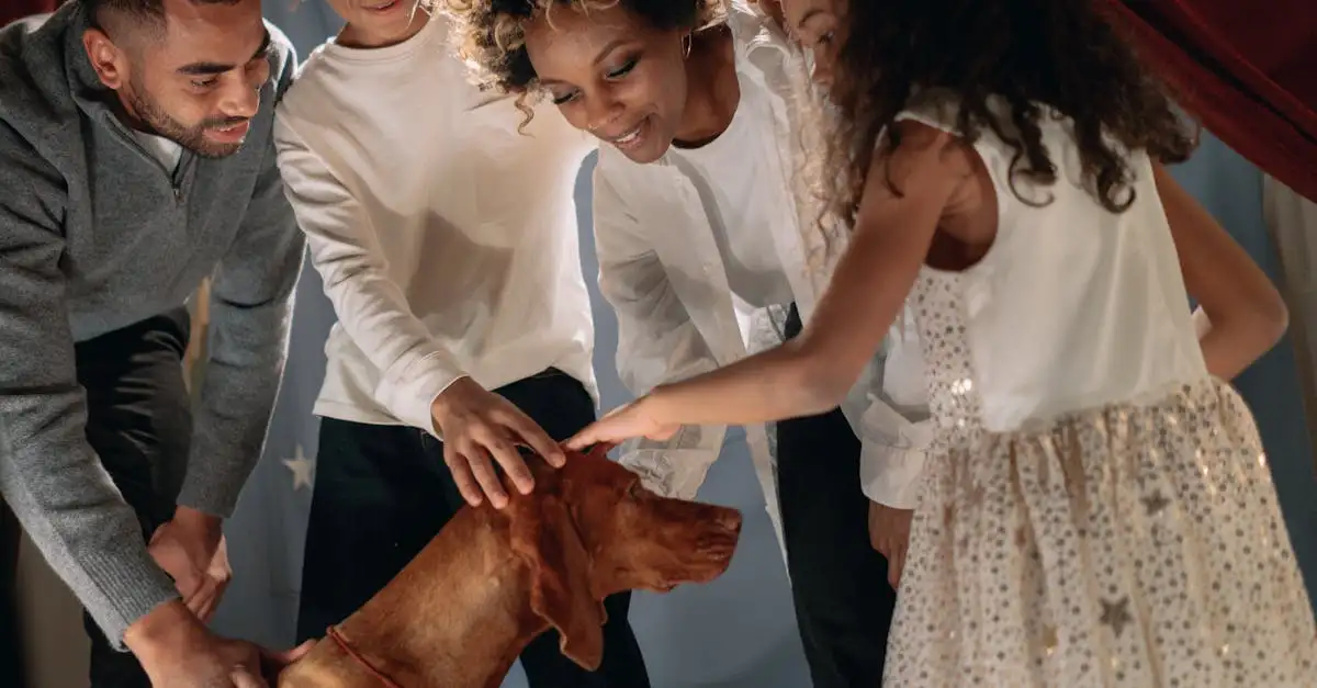 Les chiens peuvent-ils vraiment lire nos émotions ?