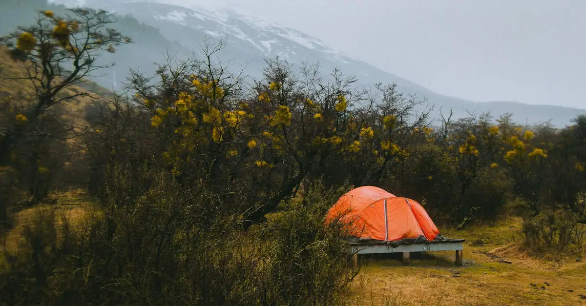 Où est situé le parc national Torres del Paine ?