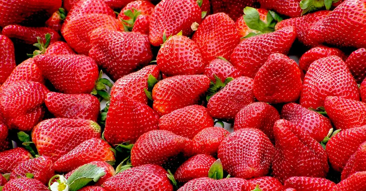 Où trouve-t-on les aliments les plus riches en vitamine C ?