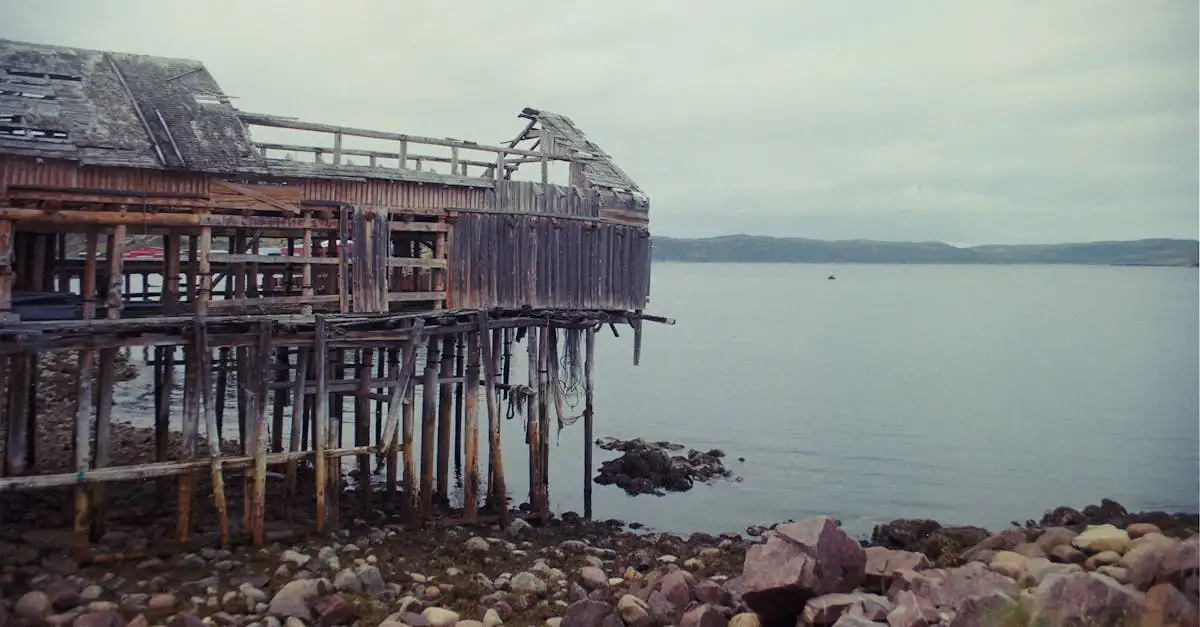 Pourquoi construire une maison sur pilotis ? Découvrez les raisons !