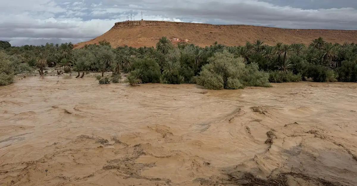 Pourquoi le cyclone Idai a-t-il touché l'Afrique en 2019 ?