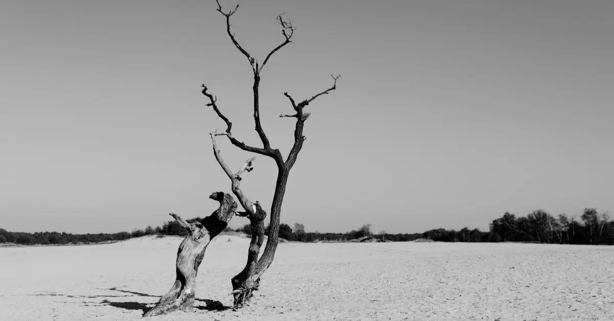 Pourquoi le lac Eyre est-il si unique malgré sa sécheresse ?