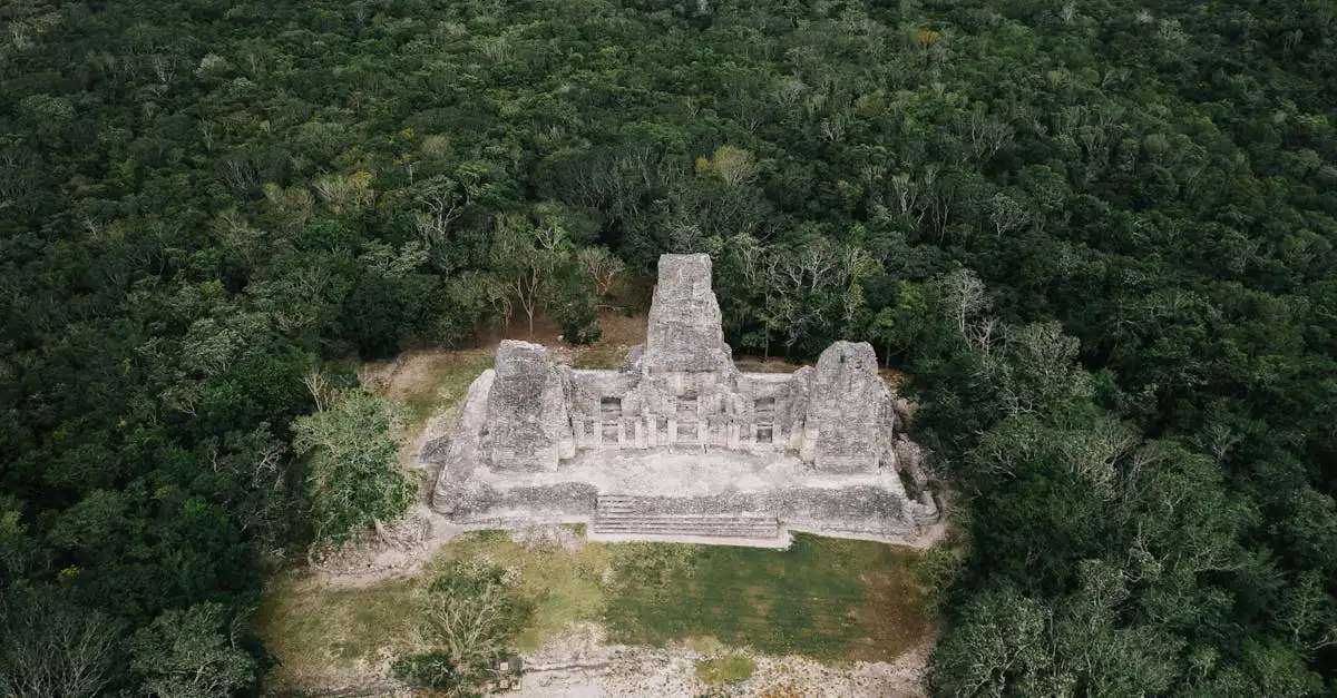Que voir dans les ruines de Tikal au Guatemala ?