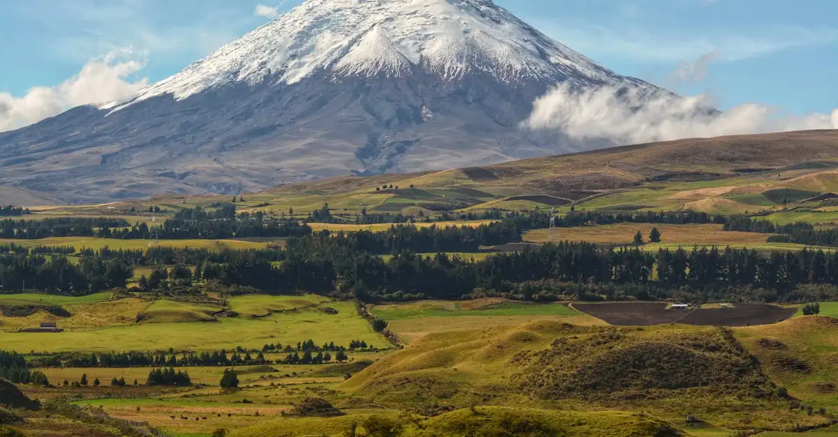 Quelle est la plus haute montagne des Andes ? Découvrez-la !