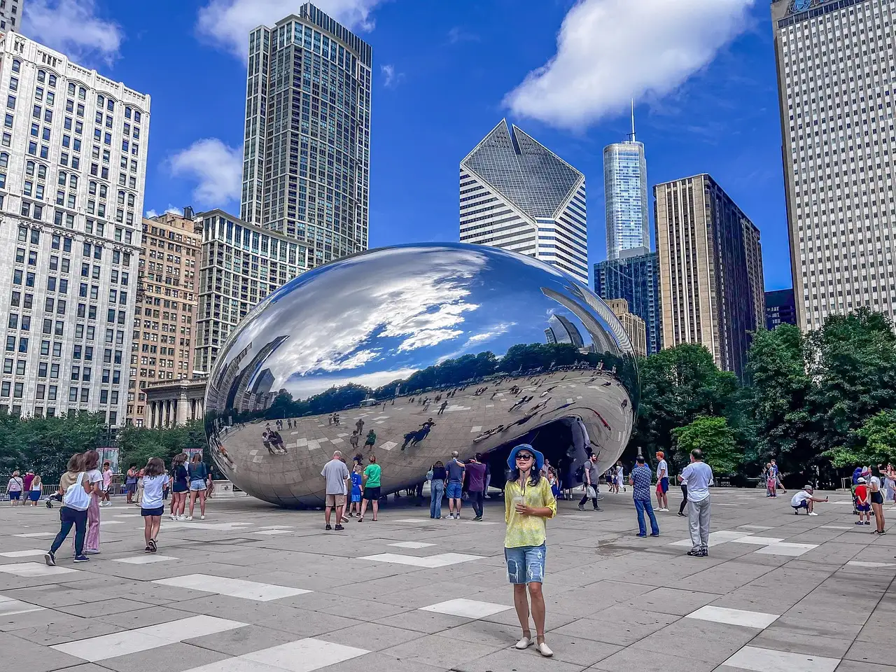 Quelle est l'histoire concise de l'Illinois en quelques lignes ?
