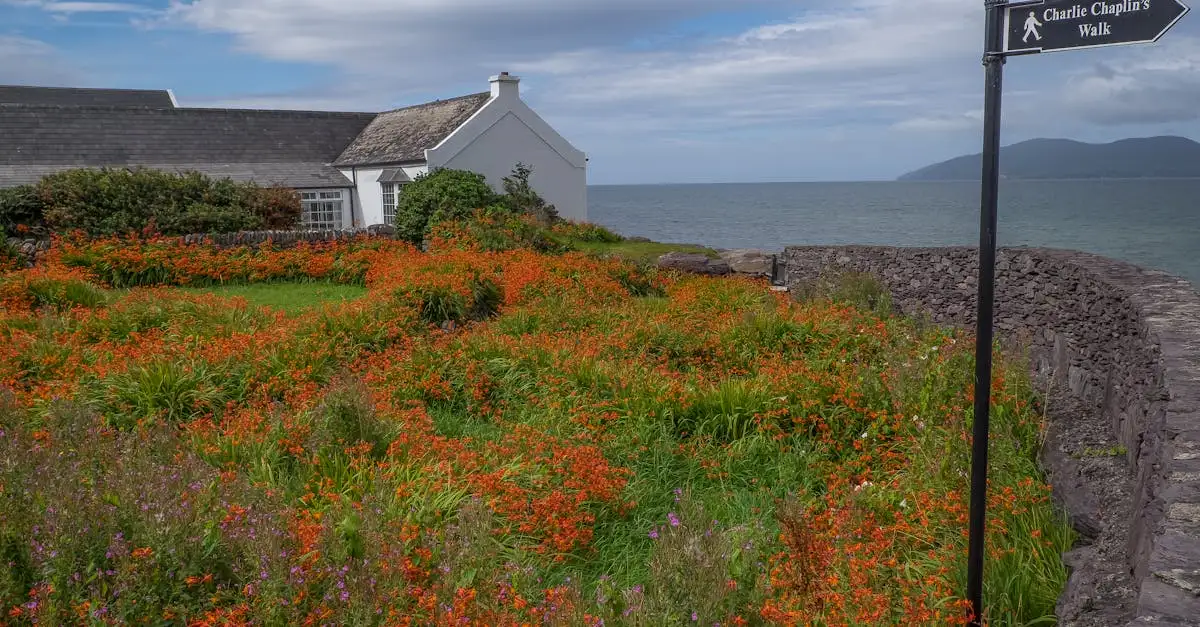 Quelle région préserve la Ring of Kerry en Irlande ?
