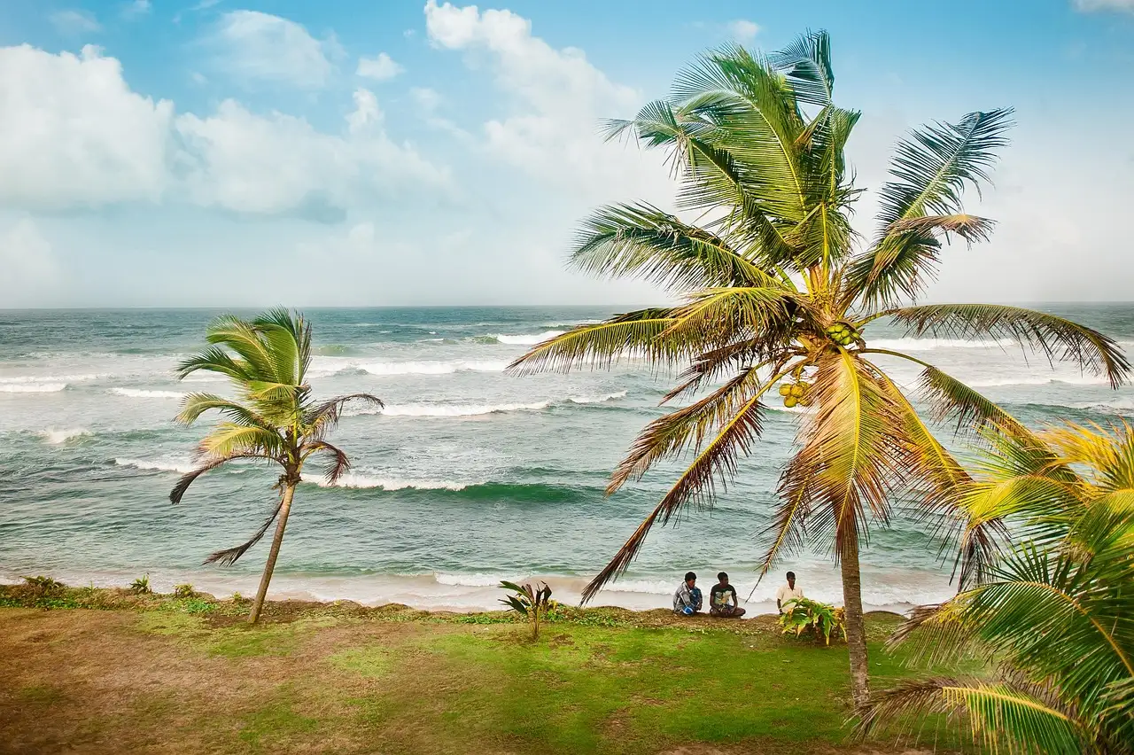 Quelle ville du Sri Lanka était le berceau du commerce du thé ?