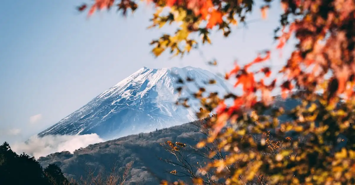 Quelle ville japonaise célèbre pour ses feuilles d'automne ?