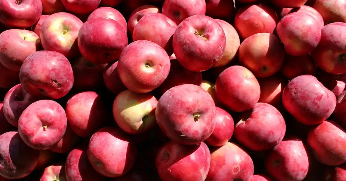 Quelles sont les 3 spécialités culinaires à découvrir au Vermont ?
