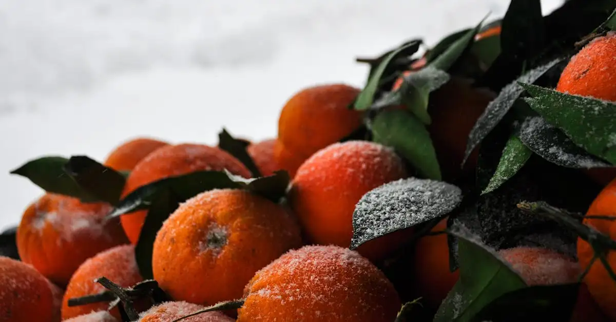Quelles vitamines renforcent l'immunité contre le rhume ?