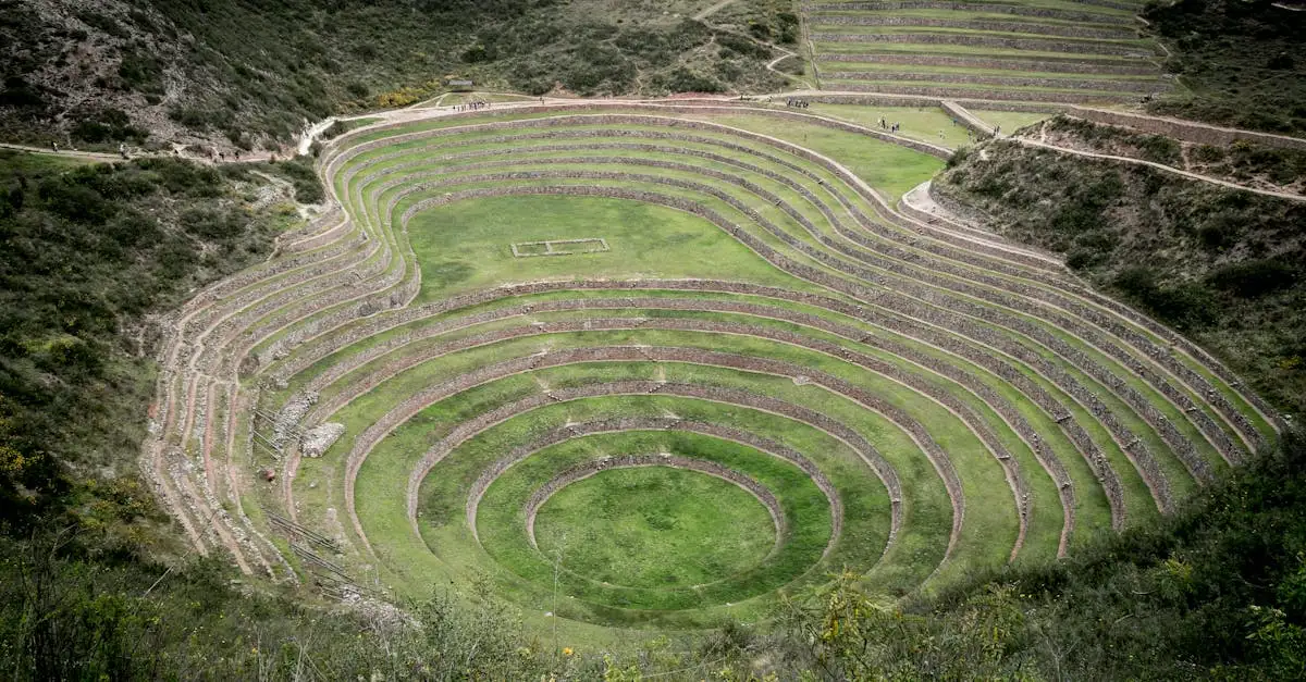 Quels étaient les ayllu et leur rôle dans la société inca ?