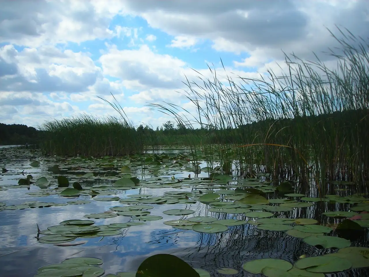 Quels sont les atouts du lac Müritz en Allemagne ?