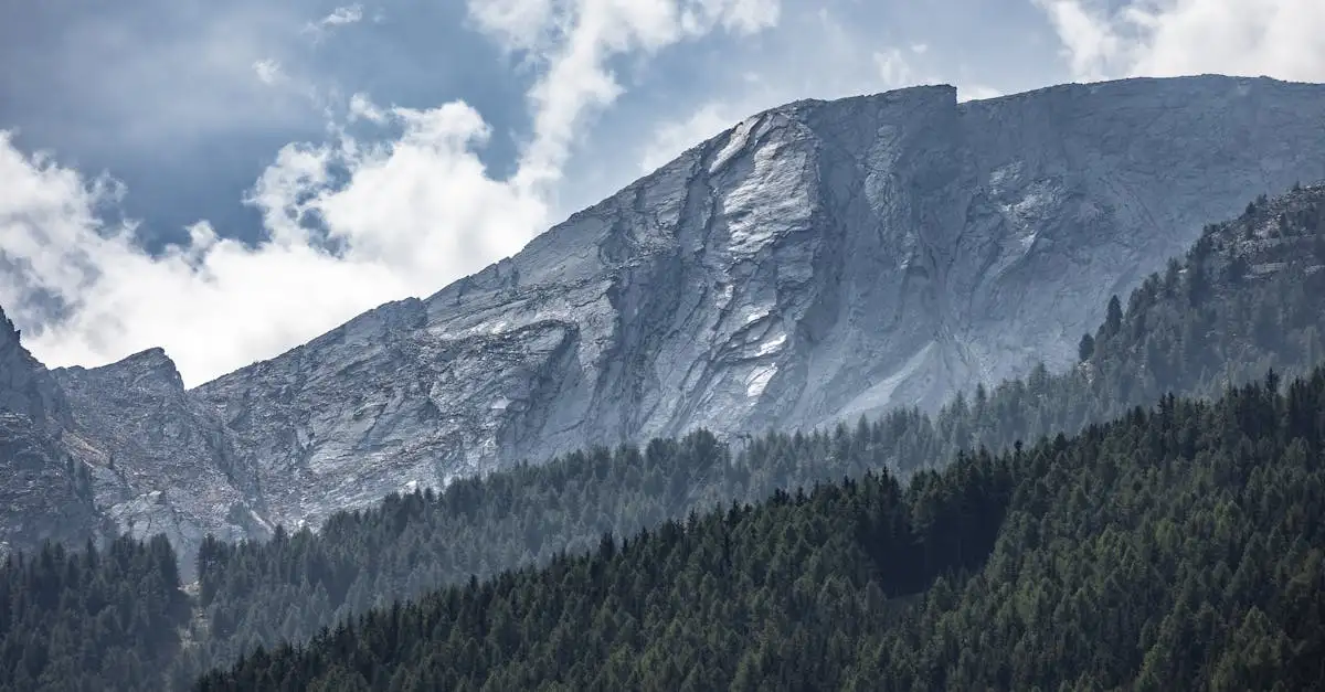 Qu'est-ce que le parc national Gran Paradiso en Italie ?
