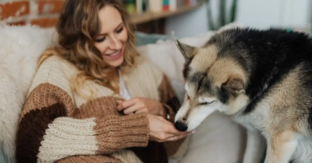 Comment créer des articles captivants sur les chiens ?