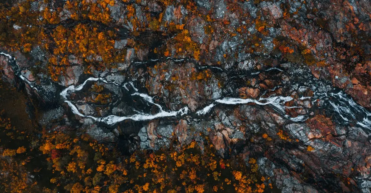 Où découvrir la wilderness en Laponie suédoise ?