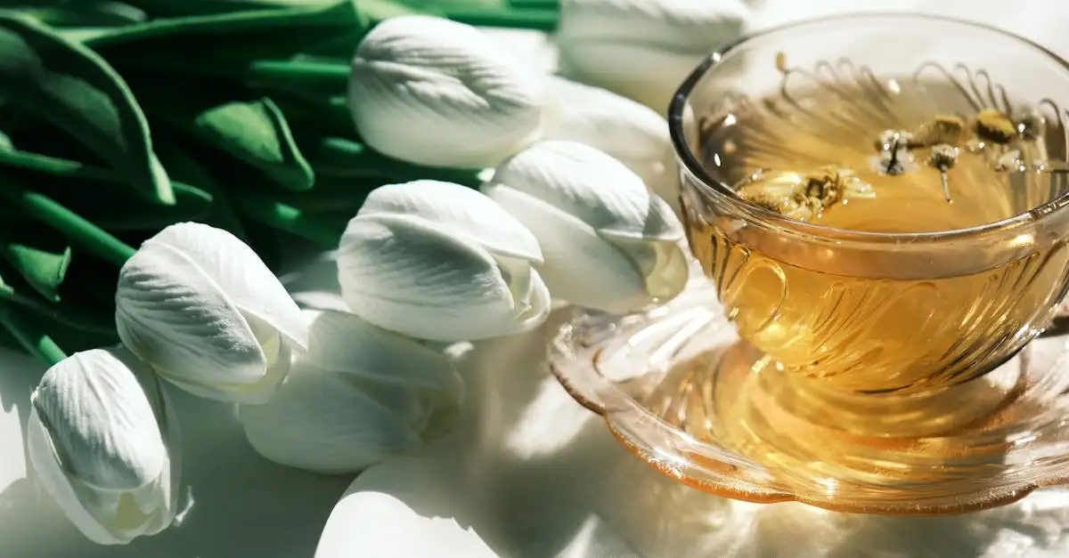 Où la tisane de verveine apporte-t-elle des bienfaits ?