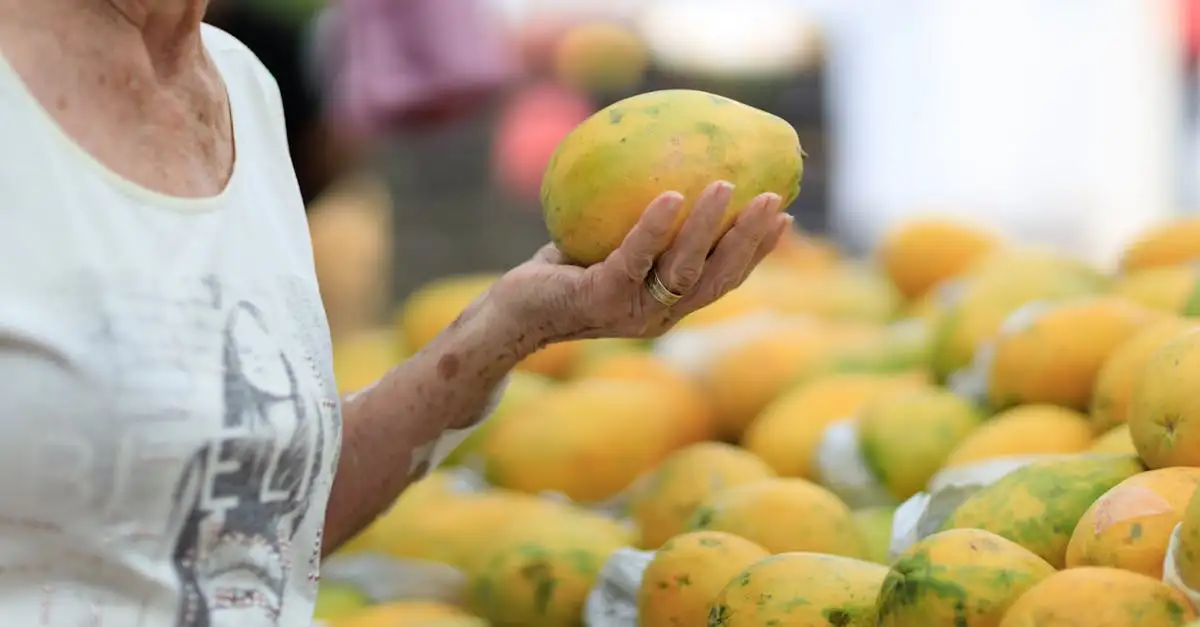 Où trouver les meilleures mangues savoureuses ?