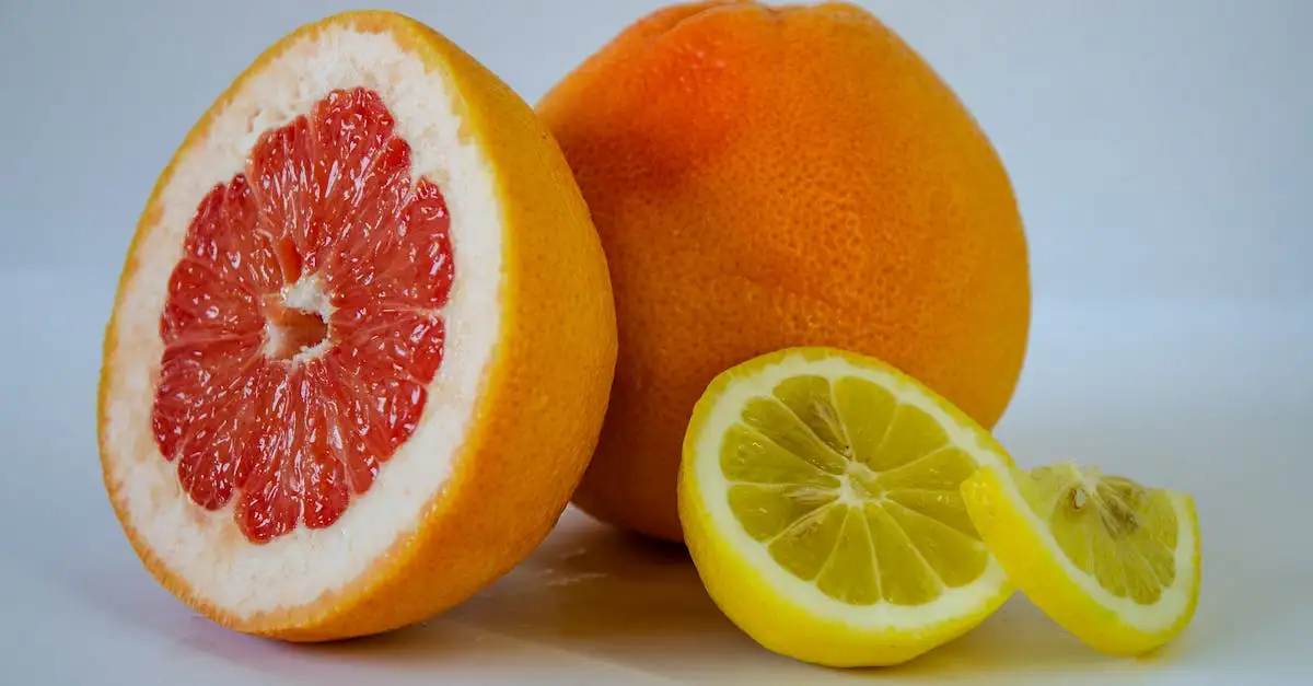 Où trouver les meilleurs citrons pour vos recettes ?