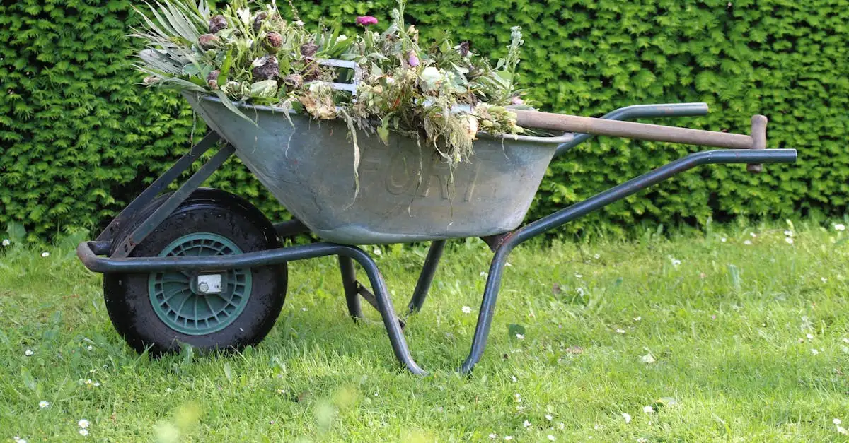 Où trouver un bon compost et quels sont ses avantages ?