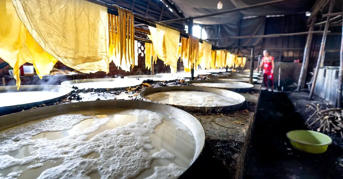 Où trouver un bon lait de soja et ses bienfaits santé ?