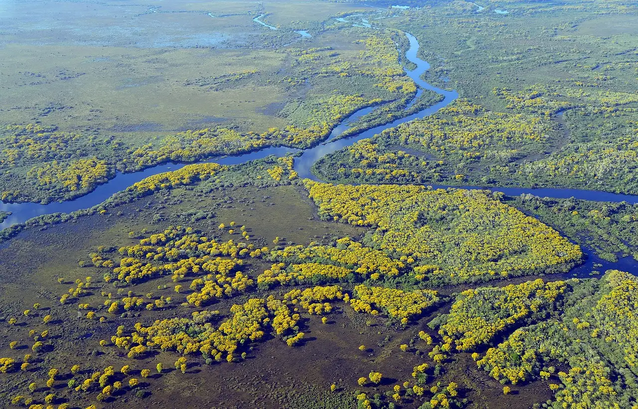 Pourquoi le Pantanal est-il si important pour le Brésil ?