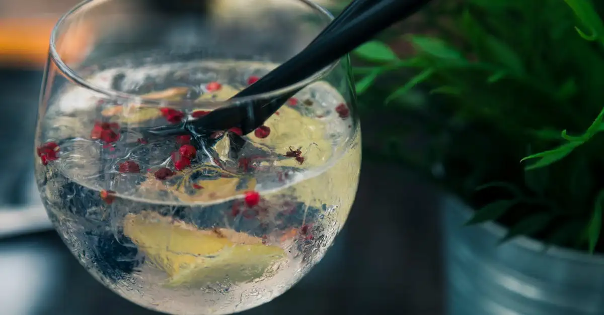 Quel gin associer au tonic à la fleur de sureau ?