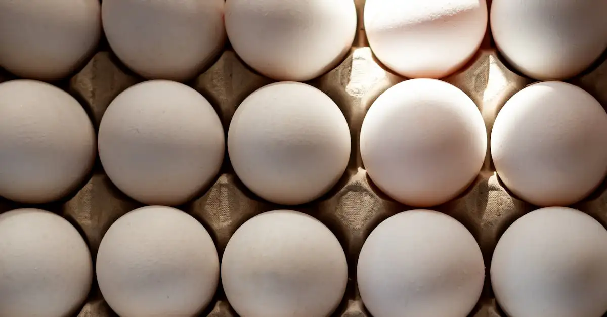 Quel petit-déjeuner choisir pour baisser le cholestérol ?