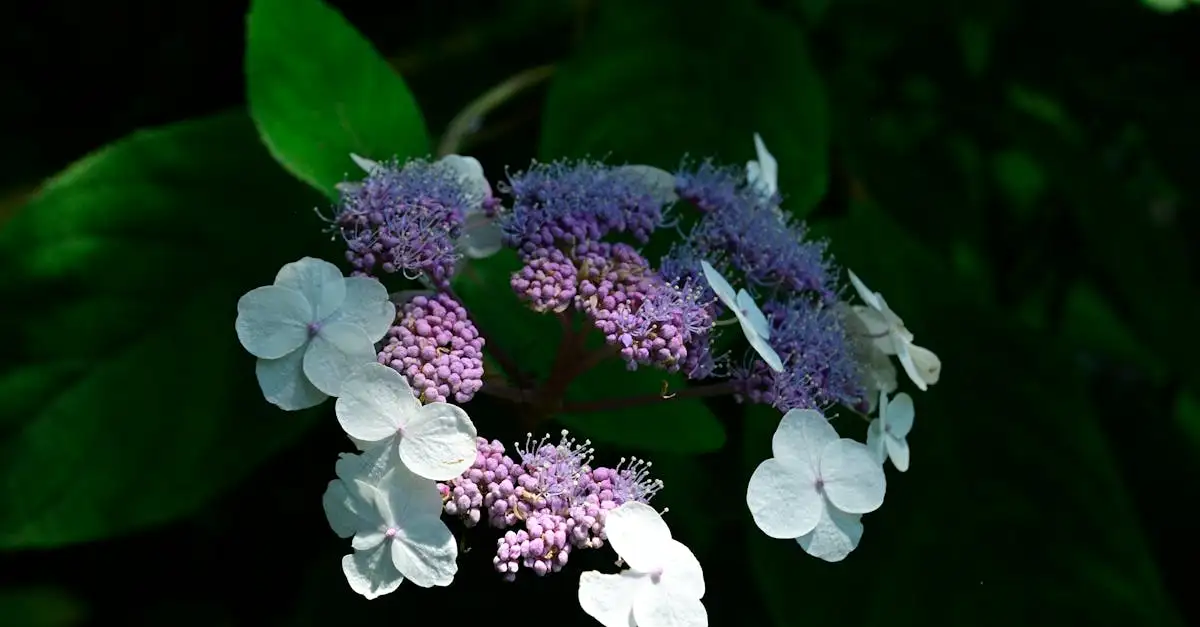 Quelle couleur associer au violet pour un look parfait ?