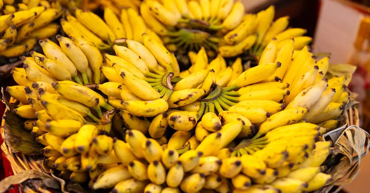 Quelle vitamine aide-t-elle à lutter contre le glaucome ?