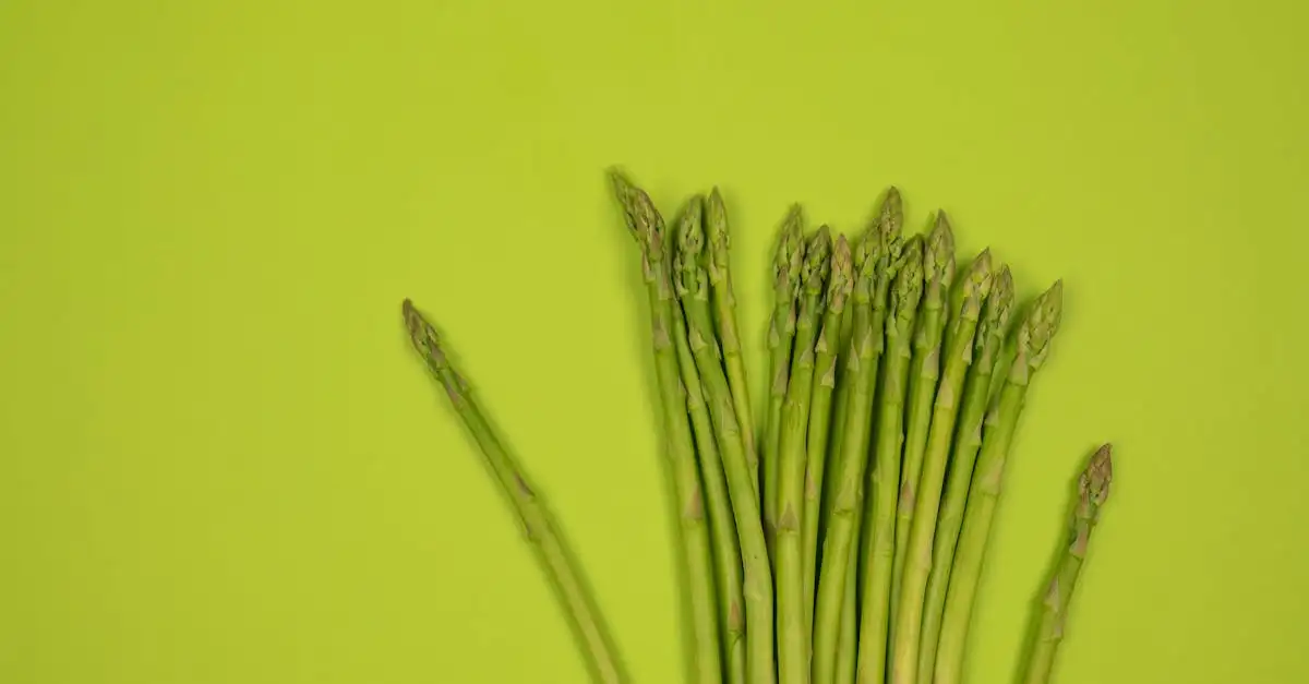 Quelle vitamine aide-t-elle à lutter contre le glaucome ?