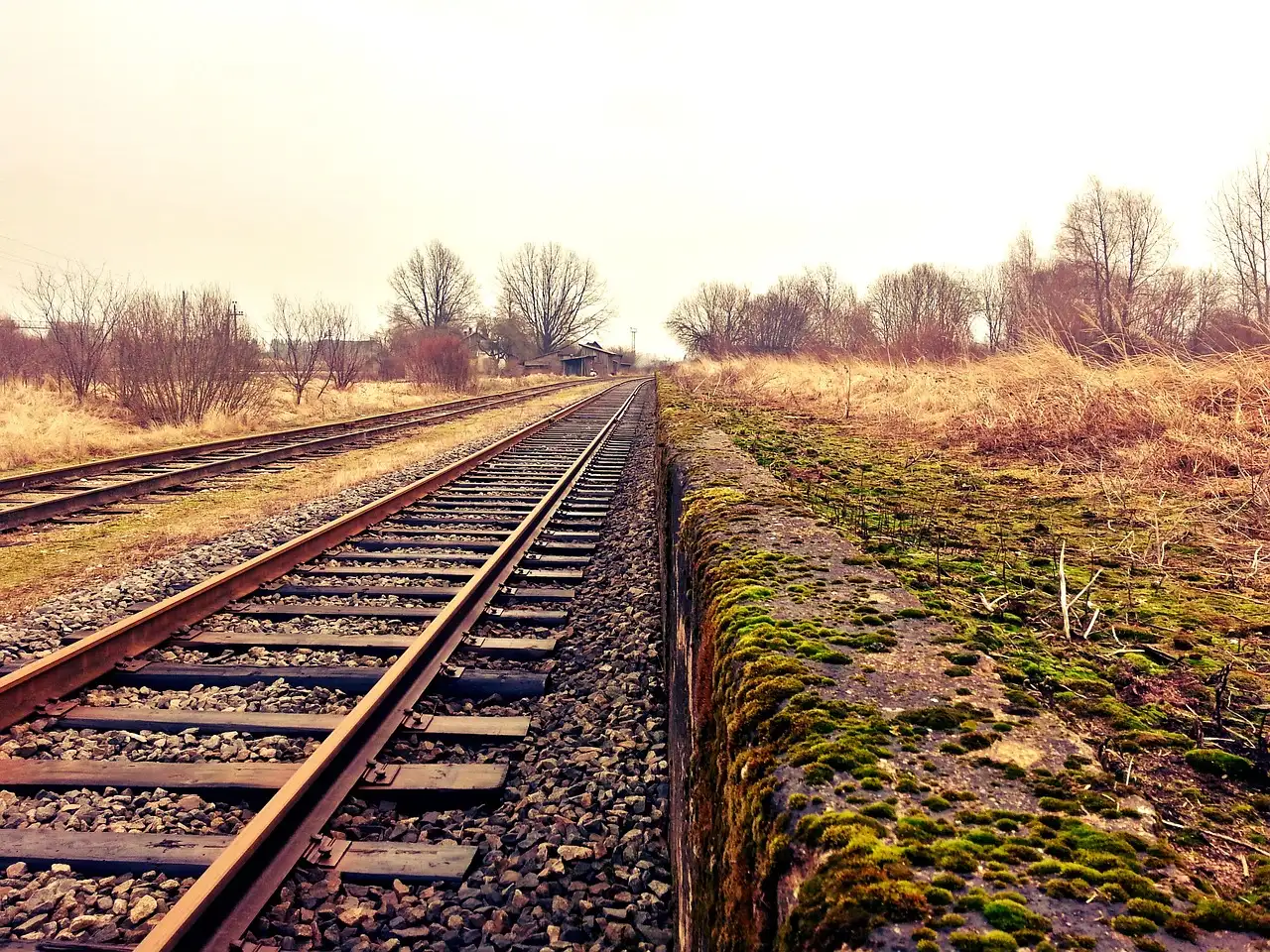 Comment les rails en bois et la traction animale fonctionnaient-ils ?