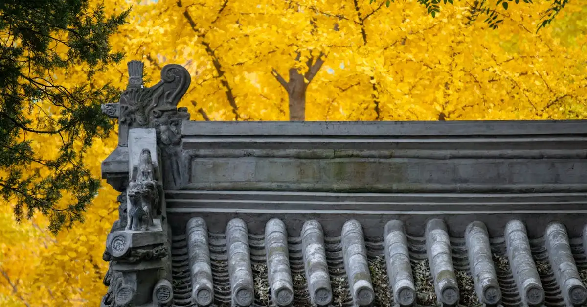 Ginkgo biloba : Quels sont ses avantages pour la santé ?