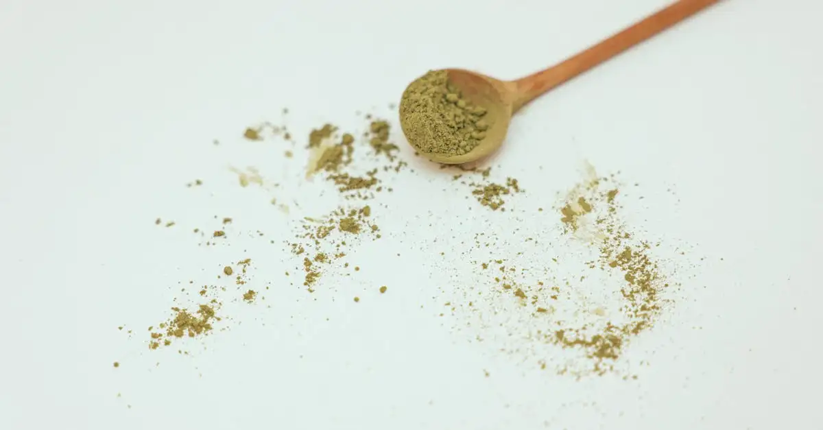 Où trouve-t-on les bienfaits de la tisane de menthe étoilée ?