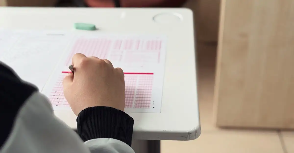 Quel programme d'études est fait pour vous ? Découvrez-le !