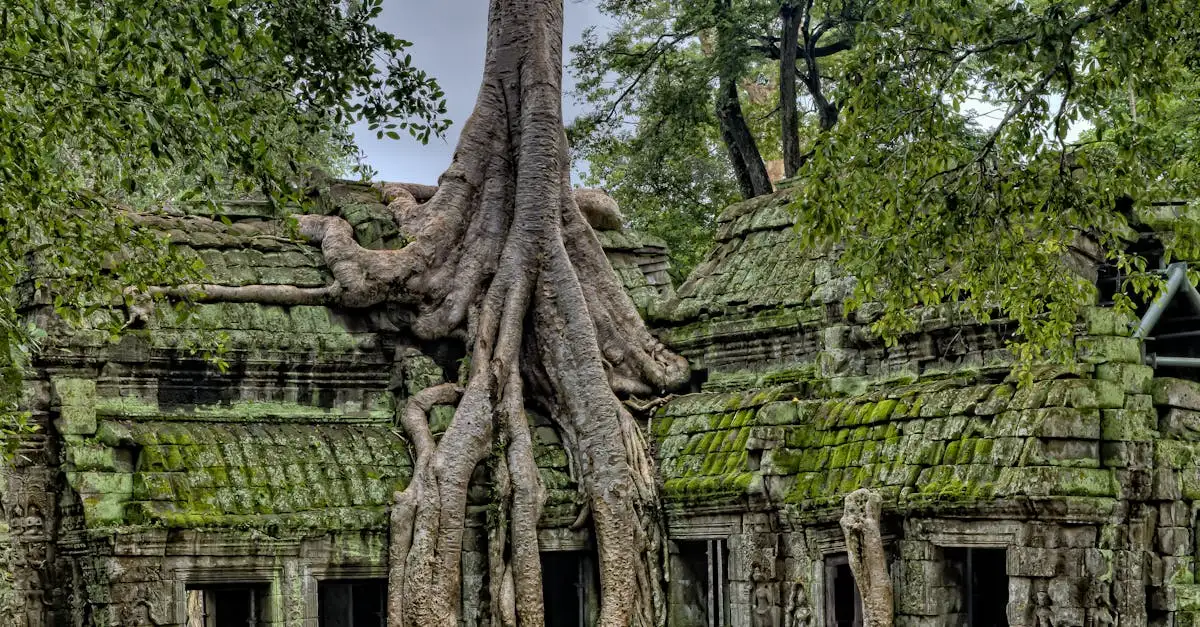 Quel temple cambodgien est dédié à Vishnu ?