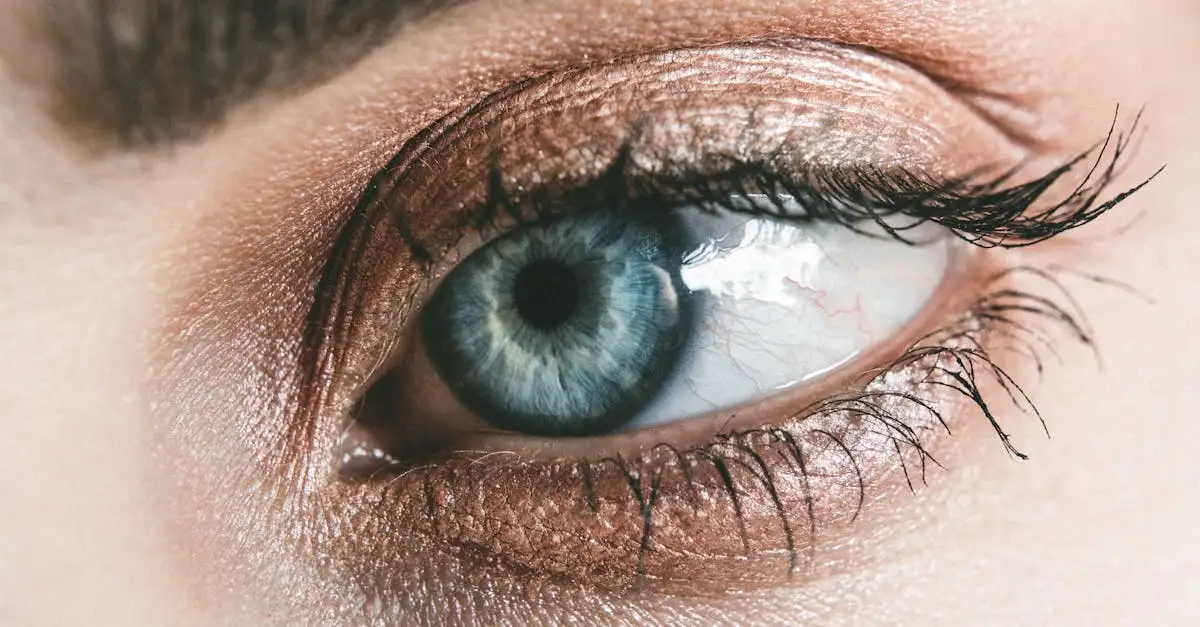Quelle couleur de fard pour sublimer des yeux bleu-gris ?